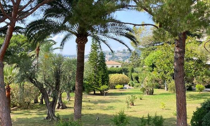 Home République Cannes