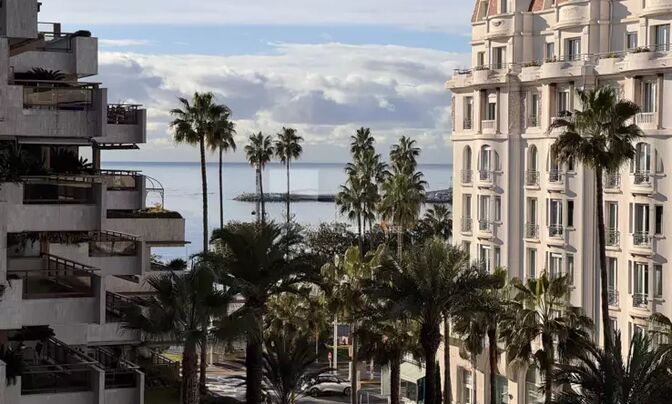 Home Cannes Centre-ville