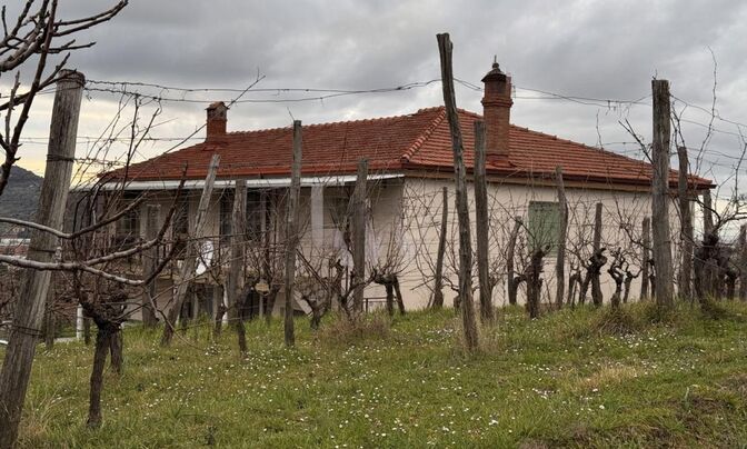 House, Koper