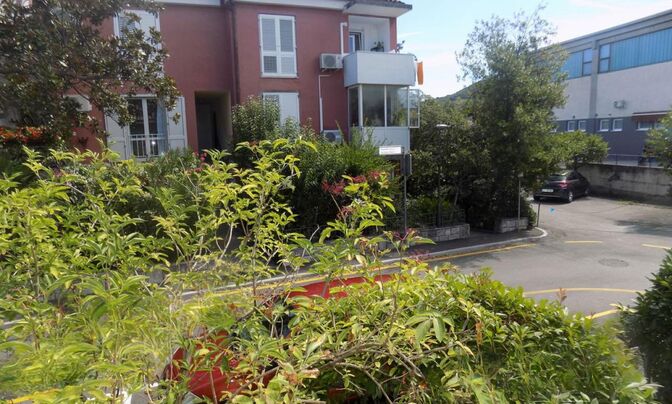House, Isola