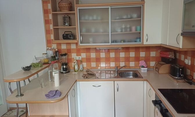 Apartment in the city center