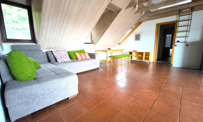 Apartment, 5+ rooms, LJ center