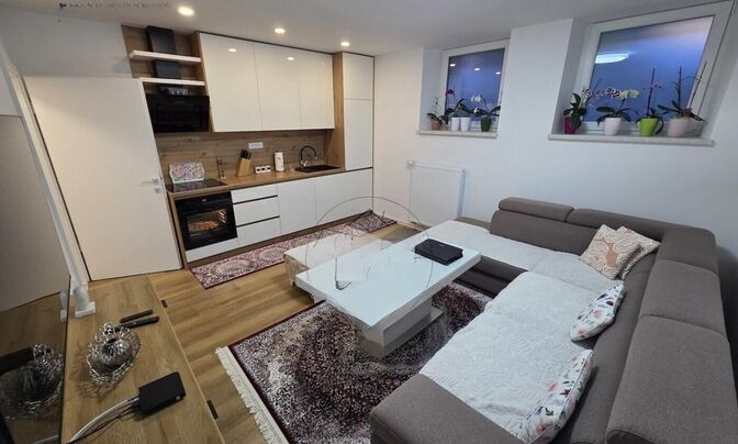 One-and-a-half-room apartment in Rudnik