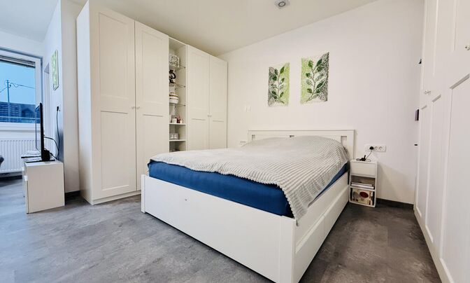 Two-room apartment Shishka