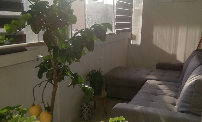 Three-room apartment in Novo BS 3