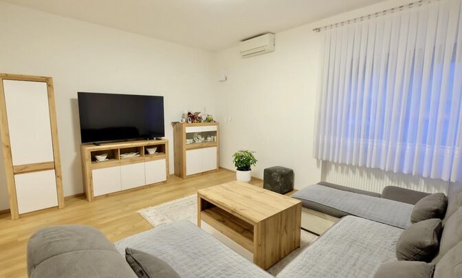 2.5-room apartment in Rudnik