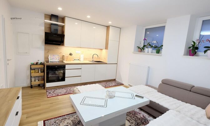 Apartment, 1.5 rooms Rudnik