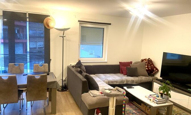 Apartment 1 bedroom for sale in Schifflange