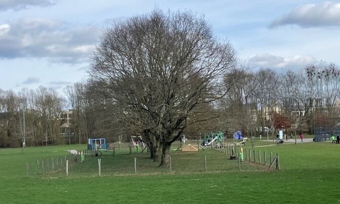 Apartment 3 bedrooms for sale in Fentange