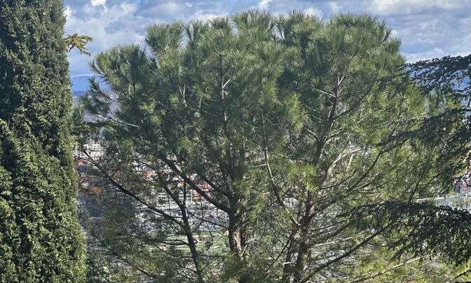 Two-room apartment in Koper