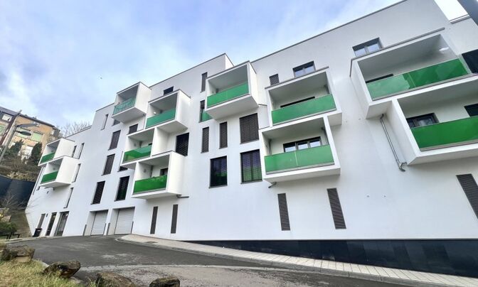 Apartment 1 bedroom for sale in Differdange