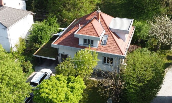 House, Mine