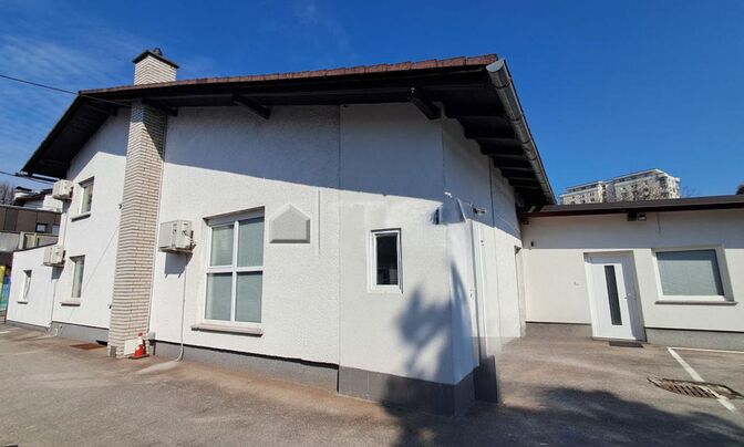 Дом в Любляне, Шишка