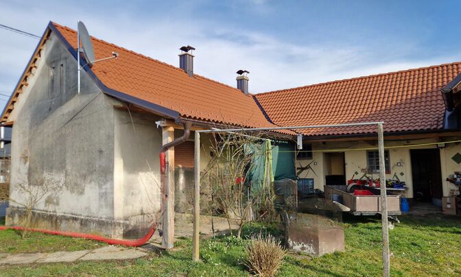 House, Zizki