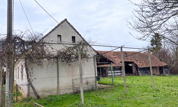 Petishovci House