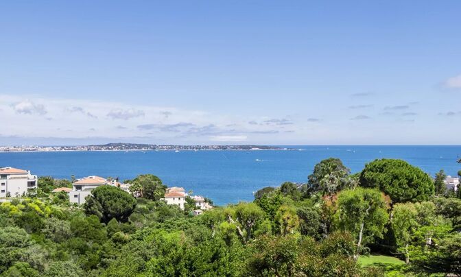 Home Cannes