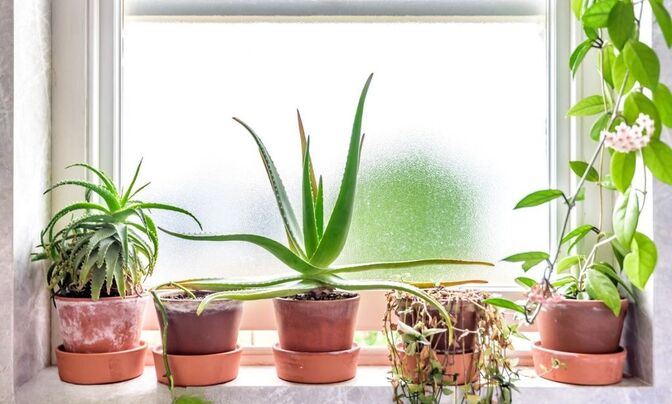 Jeffreys Road, Clapham