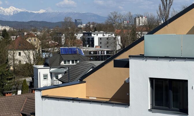 Apartment, 1-room, Bezigrad