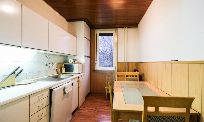2.5-room apartment in Novaya Leshcha