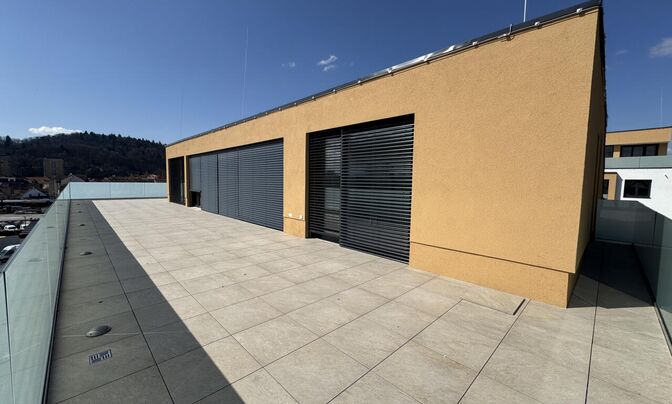 Four-room apartment in Bezigrad