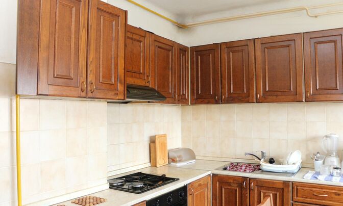 Apartment in Novi Chrnuchy