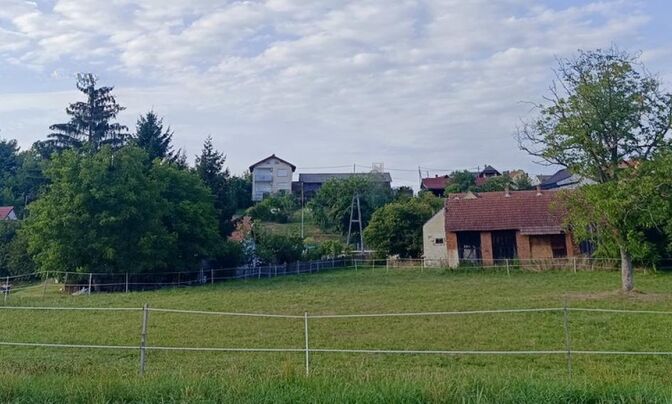 Дом, Средишче об Драви