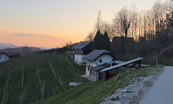 Дом, Древеник