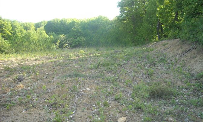 Владение, фермерское хозяйство Добриче.