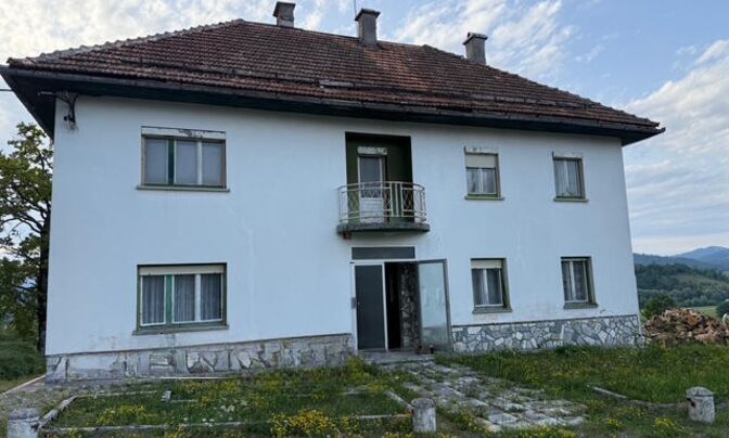 Кот при Рыбнице.