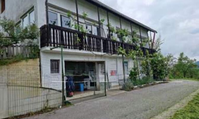 Пустика, Зибика