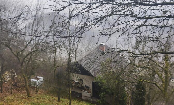 Чемшеник Ржишче