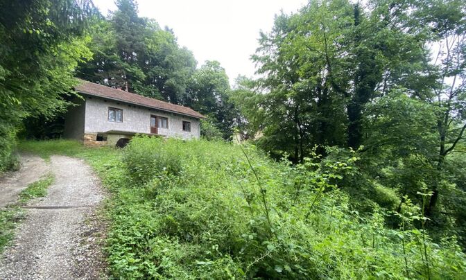 Сентюр Буковье при Сливнице