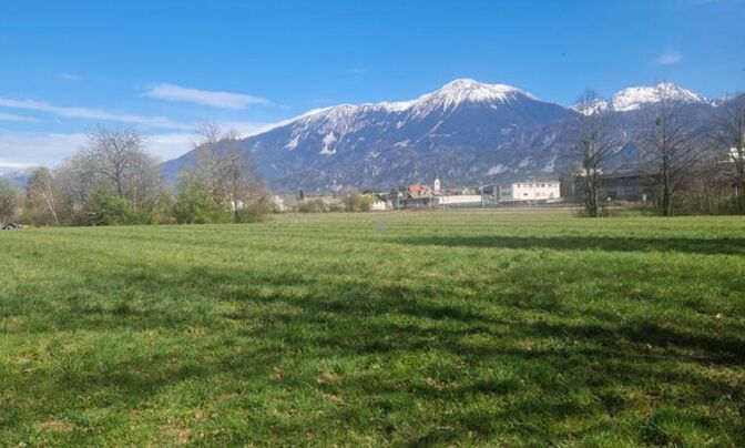 Инвестиционная недвижимость в Новом Лешце