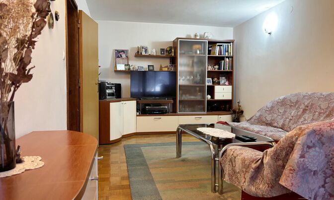 Three-room apartment Shishka