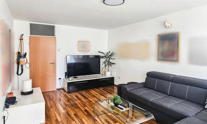 Apartment in Novi Kosezy