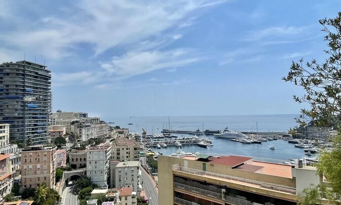 Apartment Monaco, Moneghetti