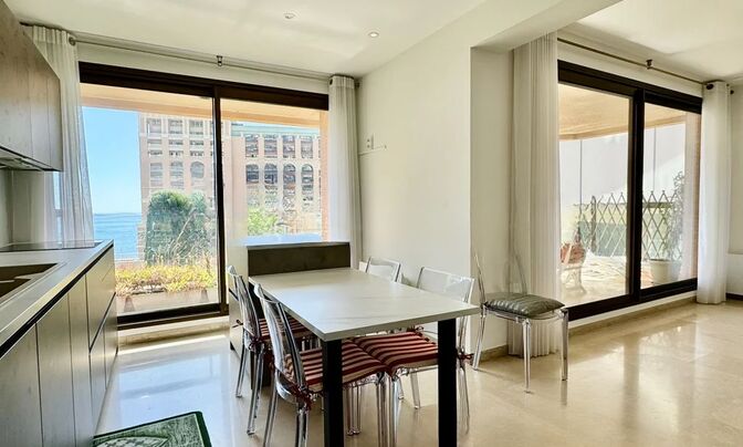 Apartment Monaco, La Rousse