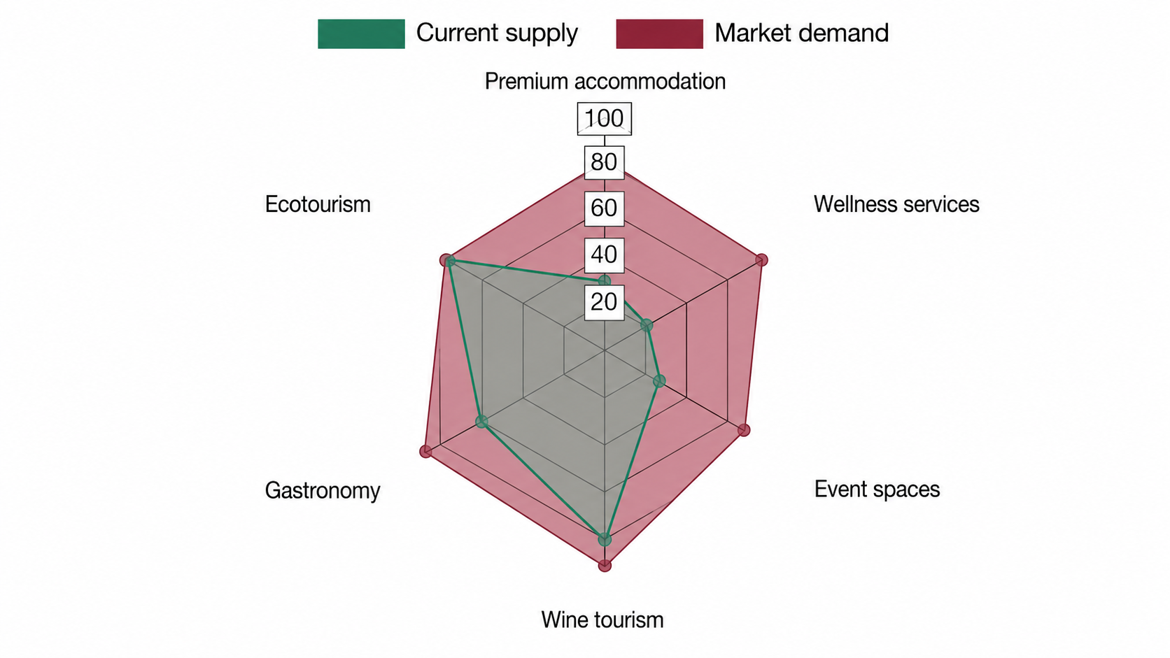Current supply and market demand in the regional tourism market