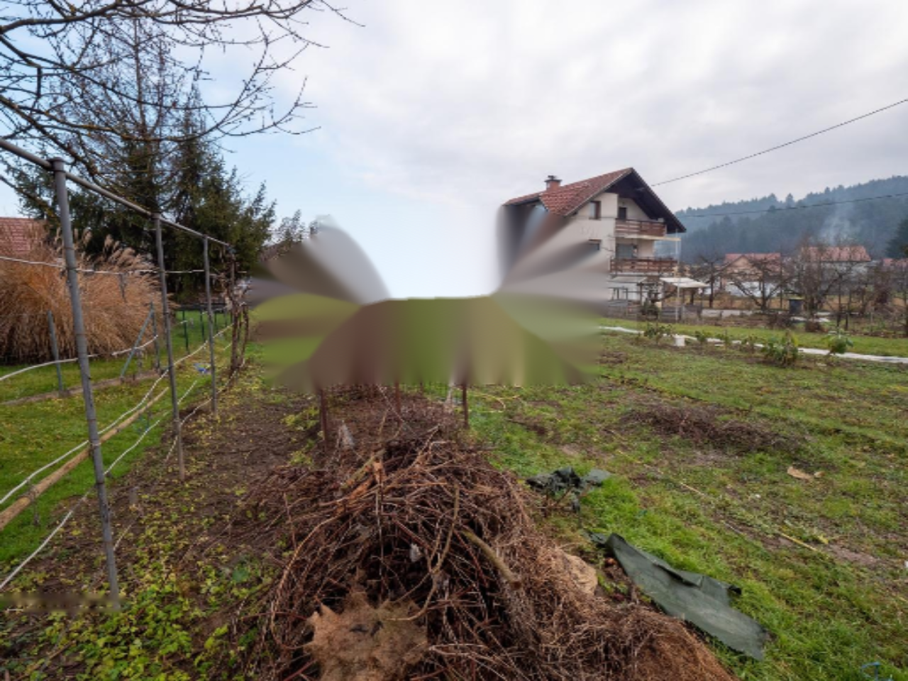 thumb1